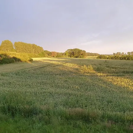 Ostseeferienhaus 33 Ueber Nn