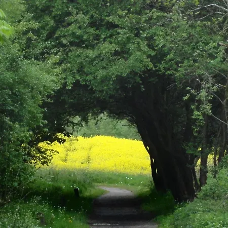 펜션 Ostseeferienhaus 33 Ueber Nn *